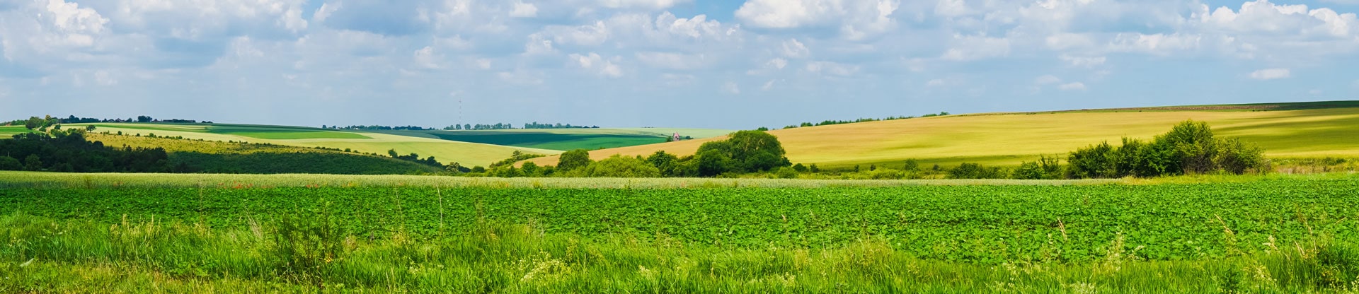 Quel prêt pour acheter un terrain non constructible
