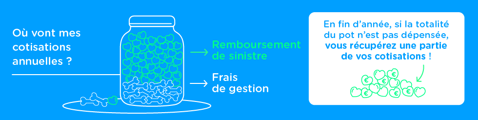 Bonus collaboratif assurance