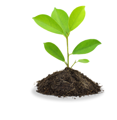 1 téléchargement de l’App FLOA Bank = 1 arbre planté