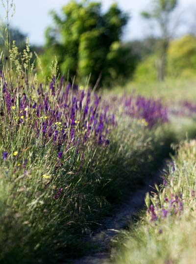 La beauté extérieure, ça compte aussi